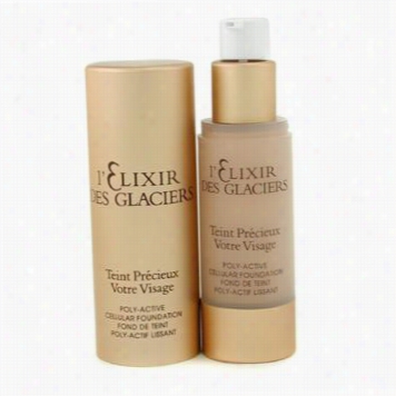 Lelixir Des Glacirs Teint Preecieux Poly Active Cellular Foundation - #ambrr Beige In Florejce