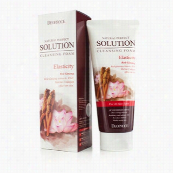 Natural Perfect Solution Cleansing Foam - Elastticity