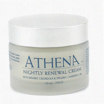 Nightly Renewal Cream