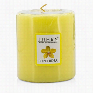 Scented Candle Refill - Orchidea