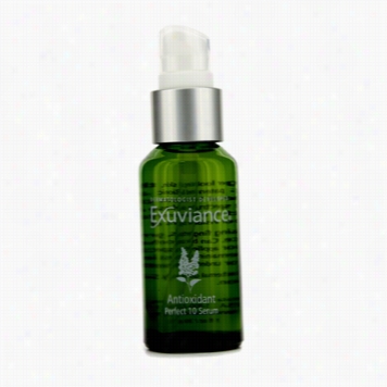 Antioxidant Perfect 10 Serum