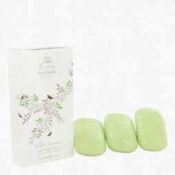 White Jasmine Soap By Woods Of Windsor, 3.5 Oz 3 X 3.5 Oz Soap For Women