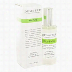 Demeter Perfume By Demeter, 4 Oz Rice Paddy Cologne Spray For Women