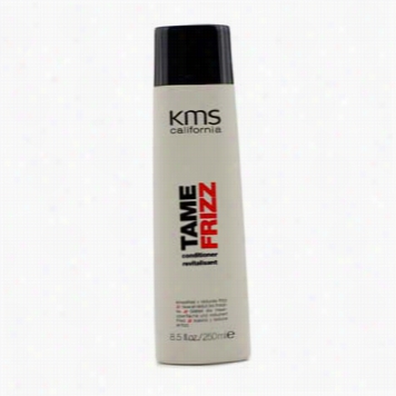 Tame Frizz Condiioner (smoothes & Reduces Frizz)