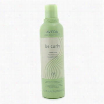 Be Curly Shampoo