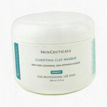 Clarifying Clay Masque (salon Size)