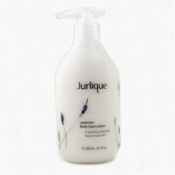 Lavender Body Care Lotion