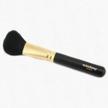 Pniceau Traceur (eyelid Brush Lined)