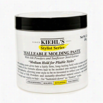 Stylist Series Malleable Molding Paste (medium Hold)