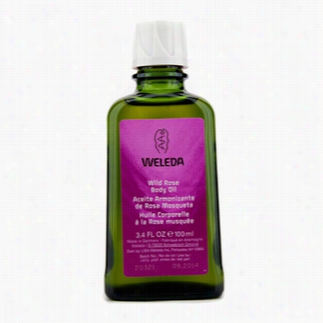 Wild Rose Body Oil