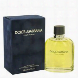 Dolce & Gabbana Cologne By Dolce & Gabbana, 6.7 Oz Eauu De Toilette Spray For Men