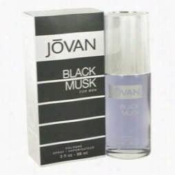 Jovan  Black Musk Cologne By Jovan, 3 Oz Cologne Spray For Men