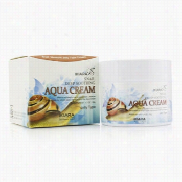 Aqua Cream (moisture Jelly Type) - Snail Deep Soothung