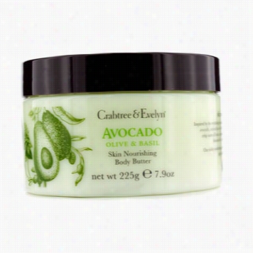 Avocado Olive & Basill Skin Nourishing Body Butter