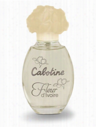 Cabotine Fleur D␙ivoire