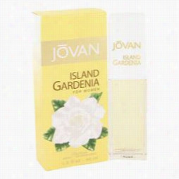 Jova N Island Gardenia Perfume By Jovan, 1.5 Oz Cologne Srpay For Women