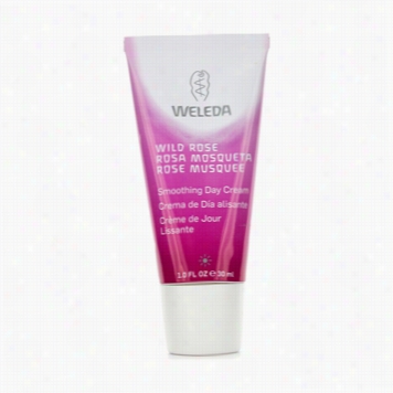 Wild Rose Smoothing Day Cream F Or Dry Skin