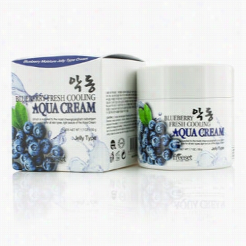 Aqua Cream (moisture Jelly Type) - Blueberry New Cooling