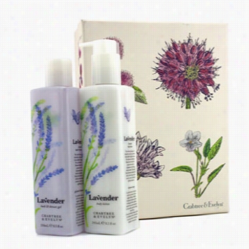 Lavender Perfect Pair: Bath & Shower Gel 250ml + Body Lotion 245ml