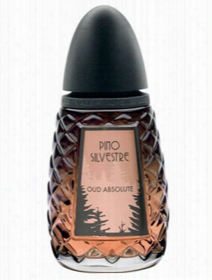 Pino Silvestre Oud Absolute