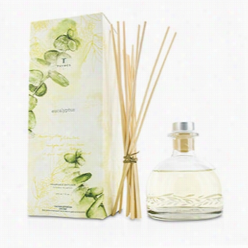 Reed Diffuser - Eucalyptus