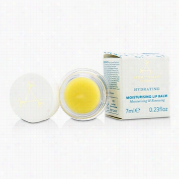 Hydrating - Moisturisinng Lip Balm