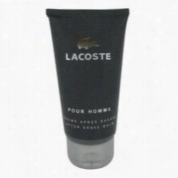 Lacoste Pour Homme  After Shave Balm By Lacoste, 2.5 Oz After Shave Balm According To Men