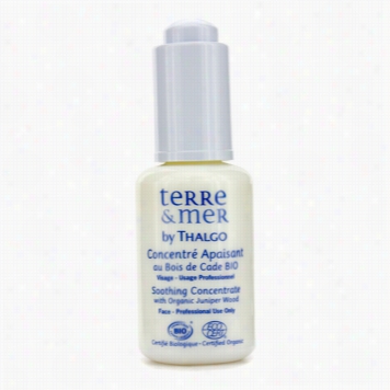 Terre &am P; Mer Soot Hing Oncentrate With Organic Juniper Wood (salon Size)