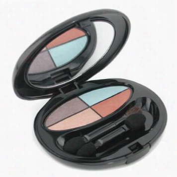 The Makeup Silky Eye Shadow Quad - Q2 Earth And Sky