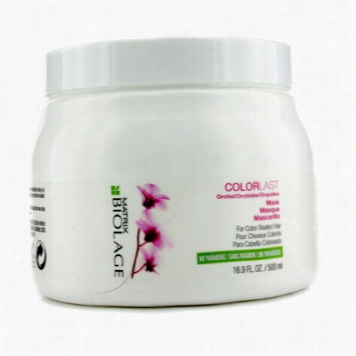 Biolage Color Last Mask (for Co Lor-treated Hair)
