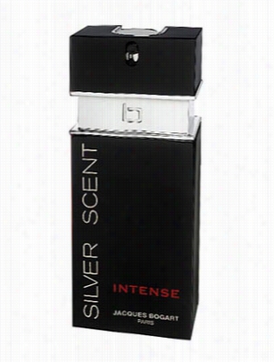 Silver Scent Intense