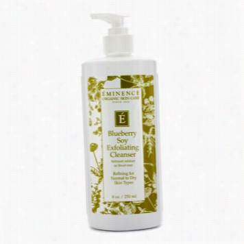 Blueberry Soy Exfoliating Cleanser