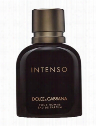 Dolce & Gabbana Pour Homme Inenso