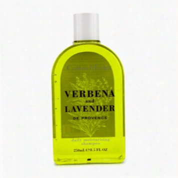 Verbena And Lavender Daily Moiisturising Shampoo