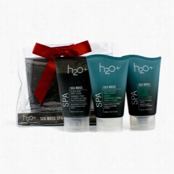 Sea Moss Spa Trio: Carcass Wash 120ml + Body Scrub 120ml + Body Lotion 120ml