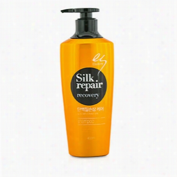 Silk Repair Recovery Damage Noourishig Care Shampoo (fof Interweave  And Coarse Hair)