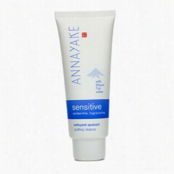 Soothing Cleanser (for Impressible Skin)