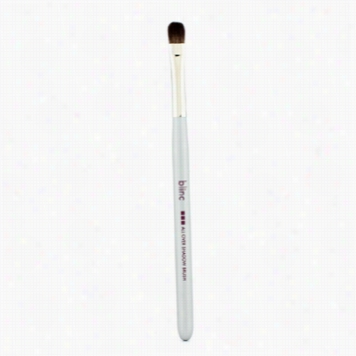 All Over  Shadow Brush