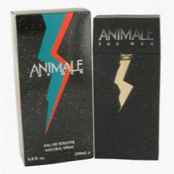 Animale Cologne In Proportion To Animale, 6. Ozz Eau De Toilette Sp Ray For Men