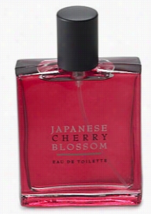 J Apanese Cherry Blossom