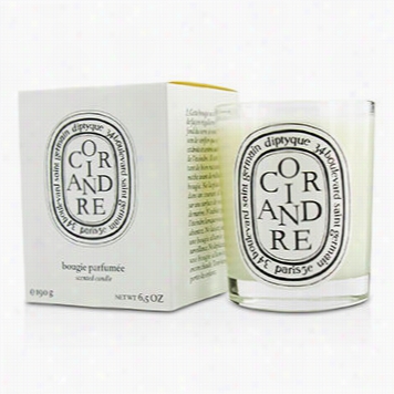 Scented Candle - Coriandre (coriande)