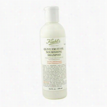 Olive Fruit Oil Nourishi Ng Shampoo (for Dry And Damaged Under-nourished Hair)