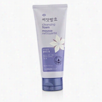 Perceive Dfermentation Cleansing Foam