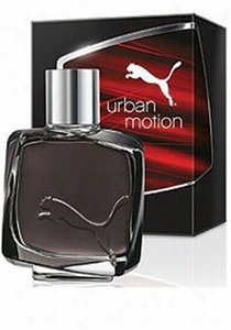 Urban Motion For Im