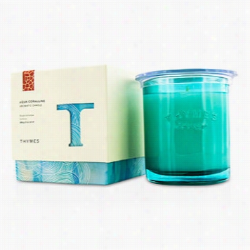 Aromatic Candle - Aqua Coralline