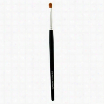 Corner Eye Colour Brush ( Long Handled )