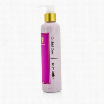 Orchiddew Body Lotion