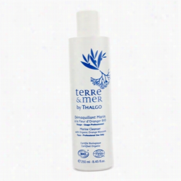 Terre & Mer Marine Cleanser With Organic Orange Blossom (salon Size)