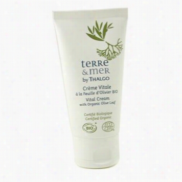 Terrre & Mer Living Cream In The Opinion Of Orgaanic Olive Leaf