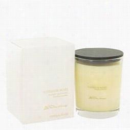 Tubereuse Rosee Accessories In Proportion To Au Pays De La Fleur D␙oranger, 6.35 Oz Scented Candle For Women